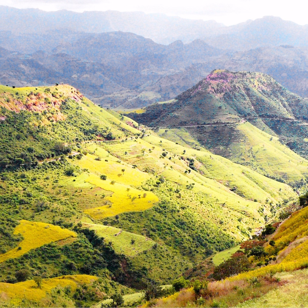 Meru Publishing specialises in Books about Ethiopia
