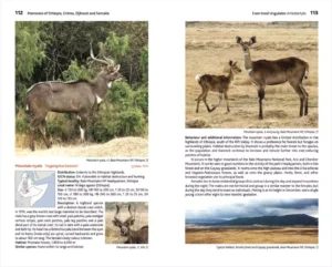 Meru Publishing specialises in Books about Ethiopia