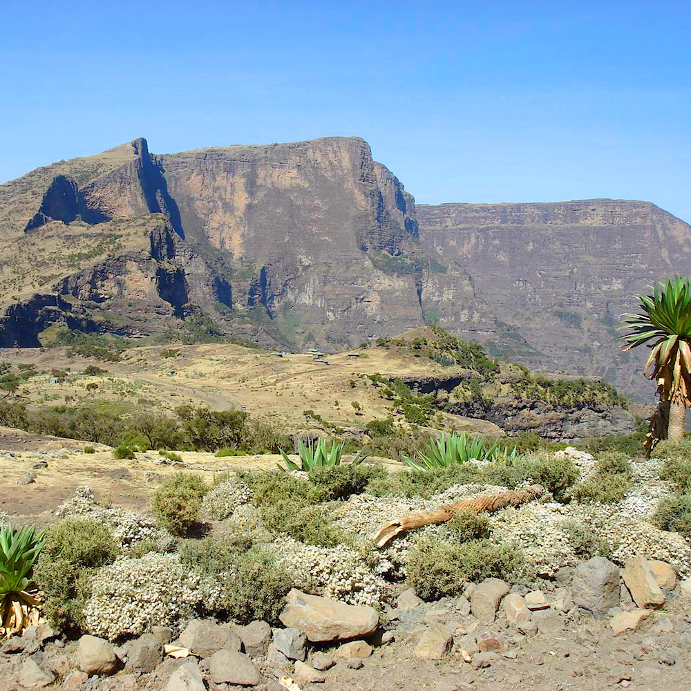 Meru Publishing specialises in Books about Ethiopia