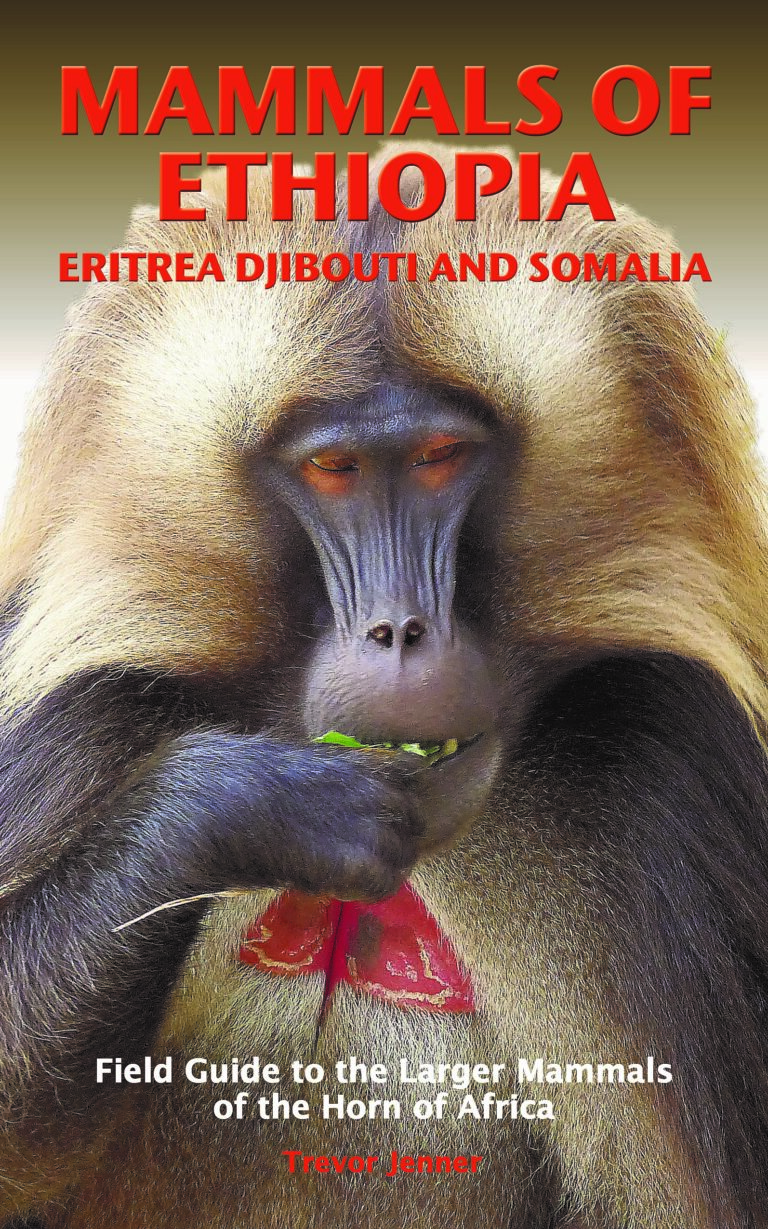 Meru Publishing specialises in Books about Ethiopia