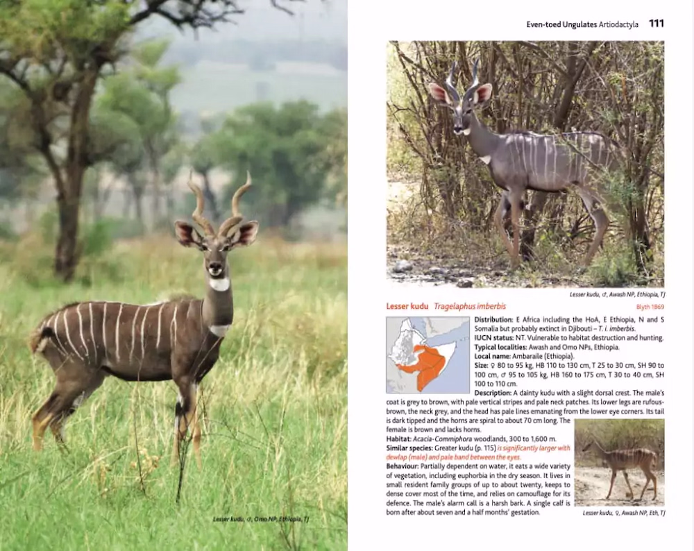 Mammals of Ethiopia - Meru Publishing