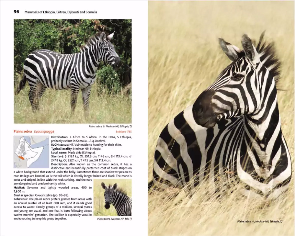 Mammals of Ethiopia - Meru Publishing