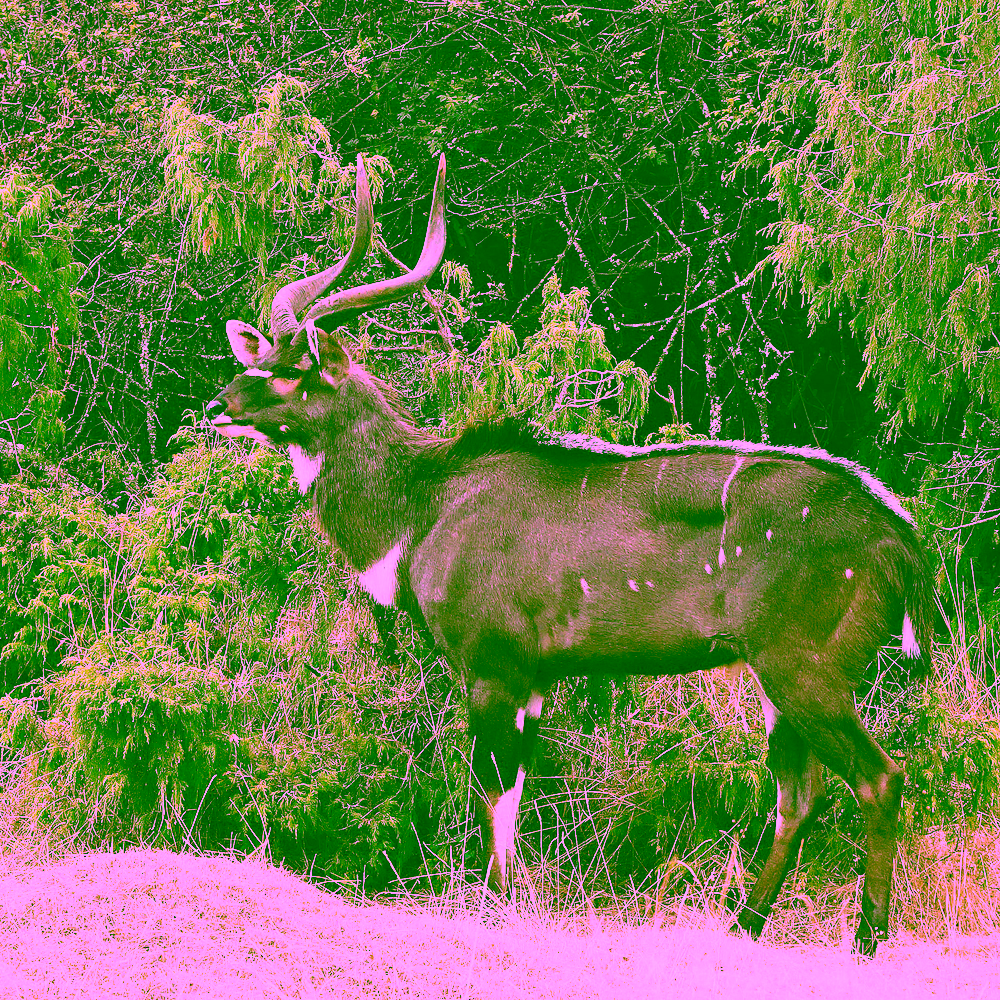 Meru Publishing specialises in Books about Ethiopia